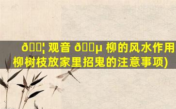 🐦 观音 🐵 柳的风水作用(柳树枝放家里招鬼的注意事项)